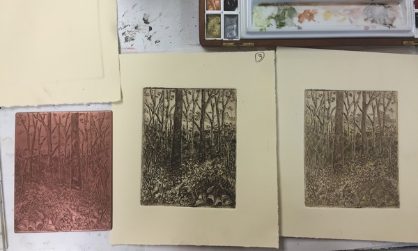Woods scene plate test images with watercolor