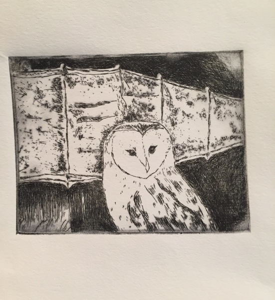Owl etching
