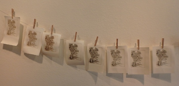 gum tree etching pages